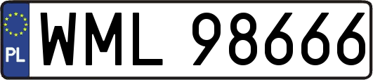 WML98666