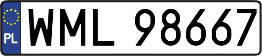 WML98667