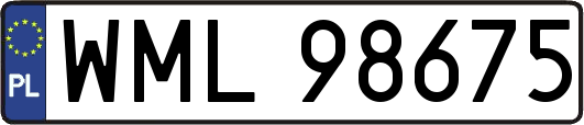 WML98675