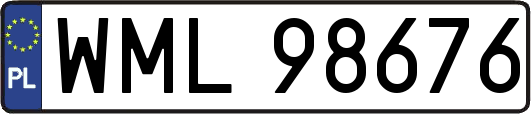 WML98676