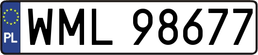 WML98677