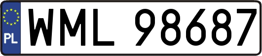 WML98687