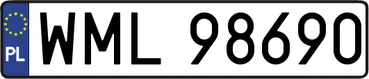 WML98690