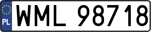 WML98718