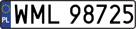 WML98725