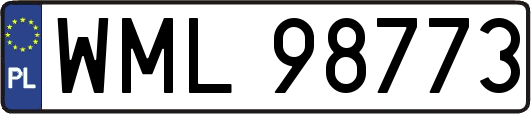 WML98773