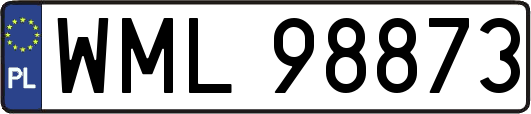 WML98873