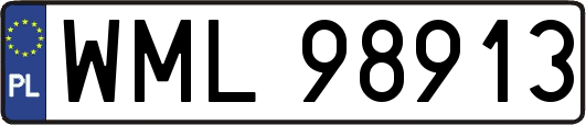 WML98913