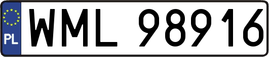 WML98916