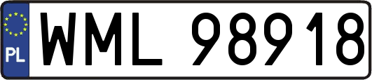 WML98918