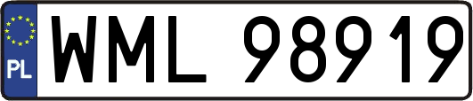 WML98919