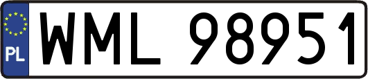 WML98951