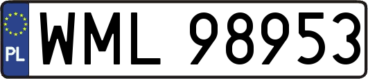 WML98953