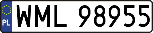 WML98955