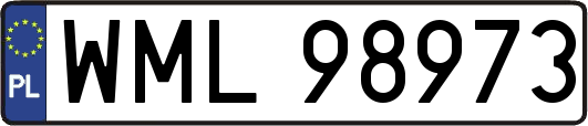 WML98973