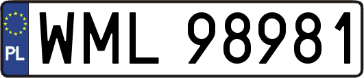 WML98981