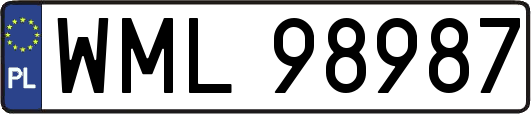 WML98987
