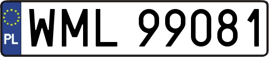 WML99081