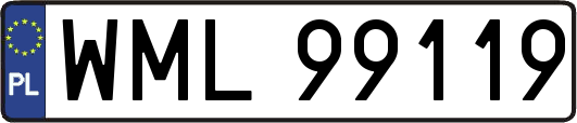 WML99119