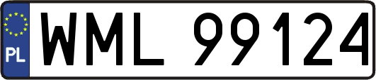 WML99124