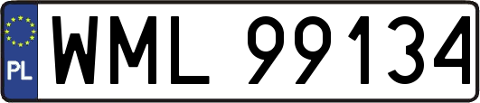 WML99134