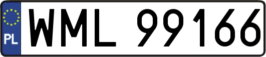 WML99166