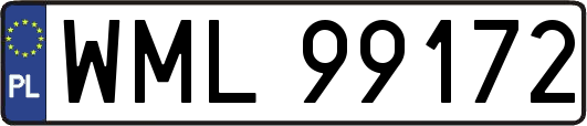 WML99172