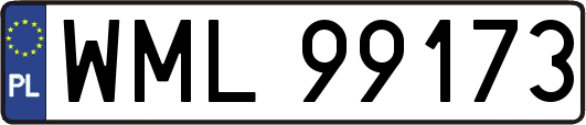 WML99173