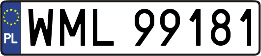 WML99181