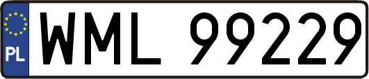 WML99229