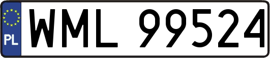 WML99524