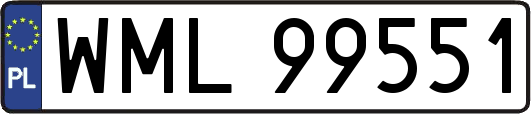WML99551
