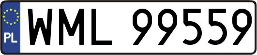 WML99559