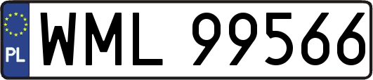 WML99566