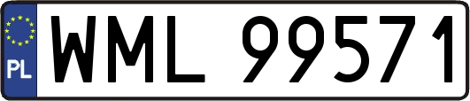 WML99571