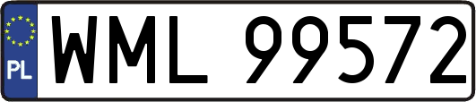 WML99572