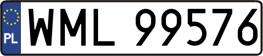 WML99576