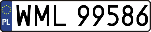 WML99586
