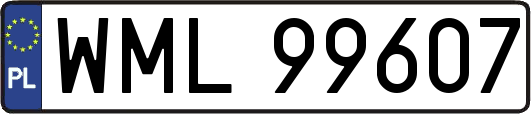 WML99607