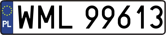 WML99613