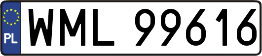 WML99616