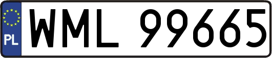 WML99665