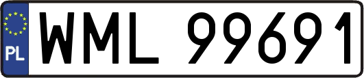 WML99691