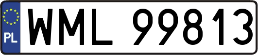WML99813
