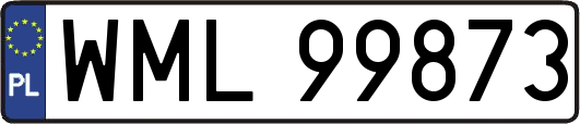 WML99873