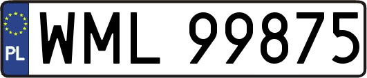 WML99875