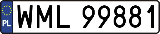 WML99881