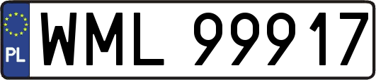 WML99917