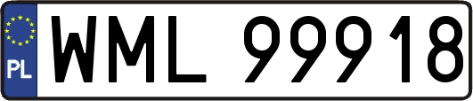 WML99918