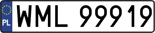 WML99919